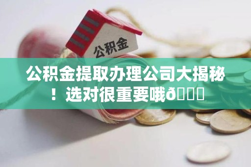 颍东公积金提取办理公司大揭秘！选对很重要哦😎