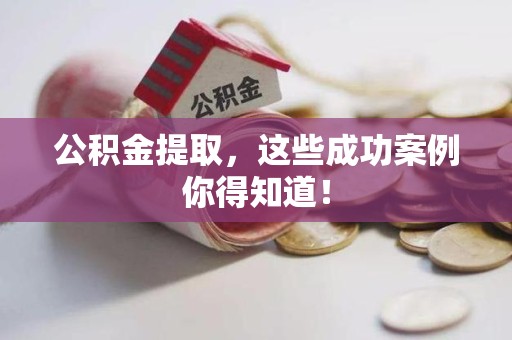 颍东公积金提取，这些成功案例你得知道！