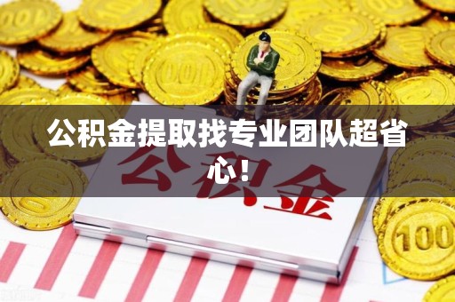 颍东公积金提取找专业团队超省心！